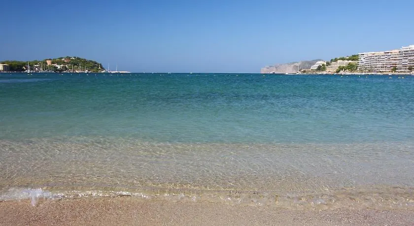 Plaza Santa Ponsa Boutique - Adults Only. Hotel Spain